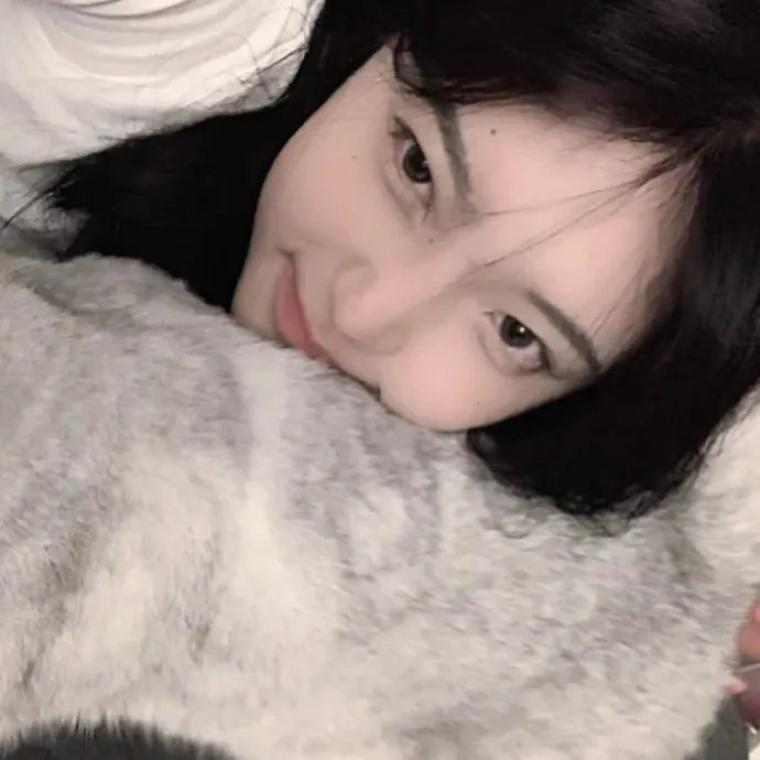 毛丰美